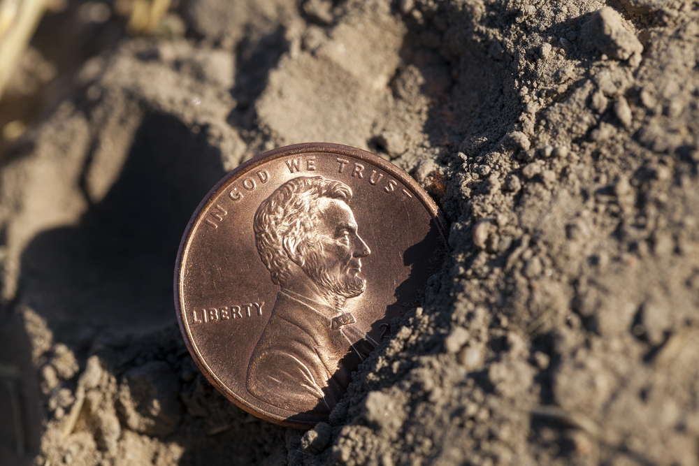 Penny in Sand