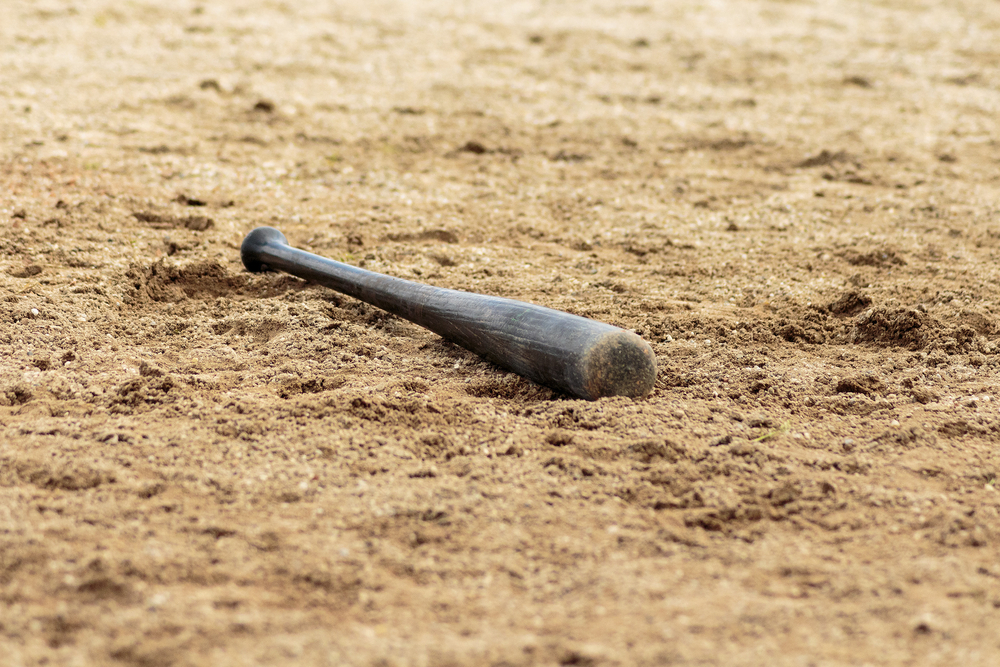 Baseball Bat in Sand