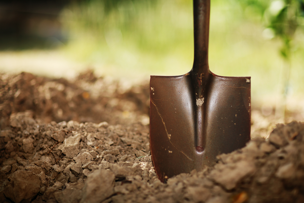 Soil with shovel.