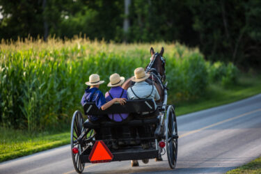 Three young Amish men in open buggy going down country road in rural Pennsylvania.