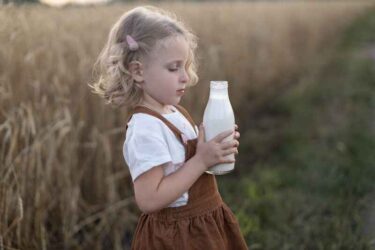a blonde curly haired 3 year old girl in a brown sundress stands in a field of wheat with a bottle of milk and looks at her