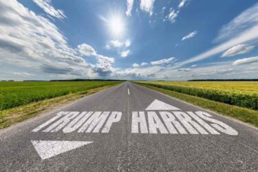 Inscription trump and harris on asphalt road.